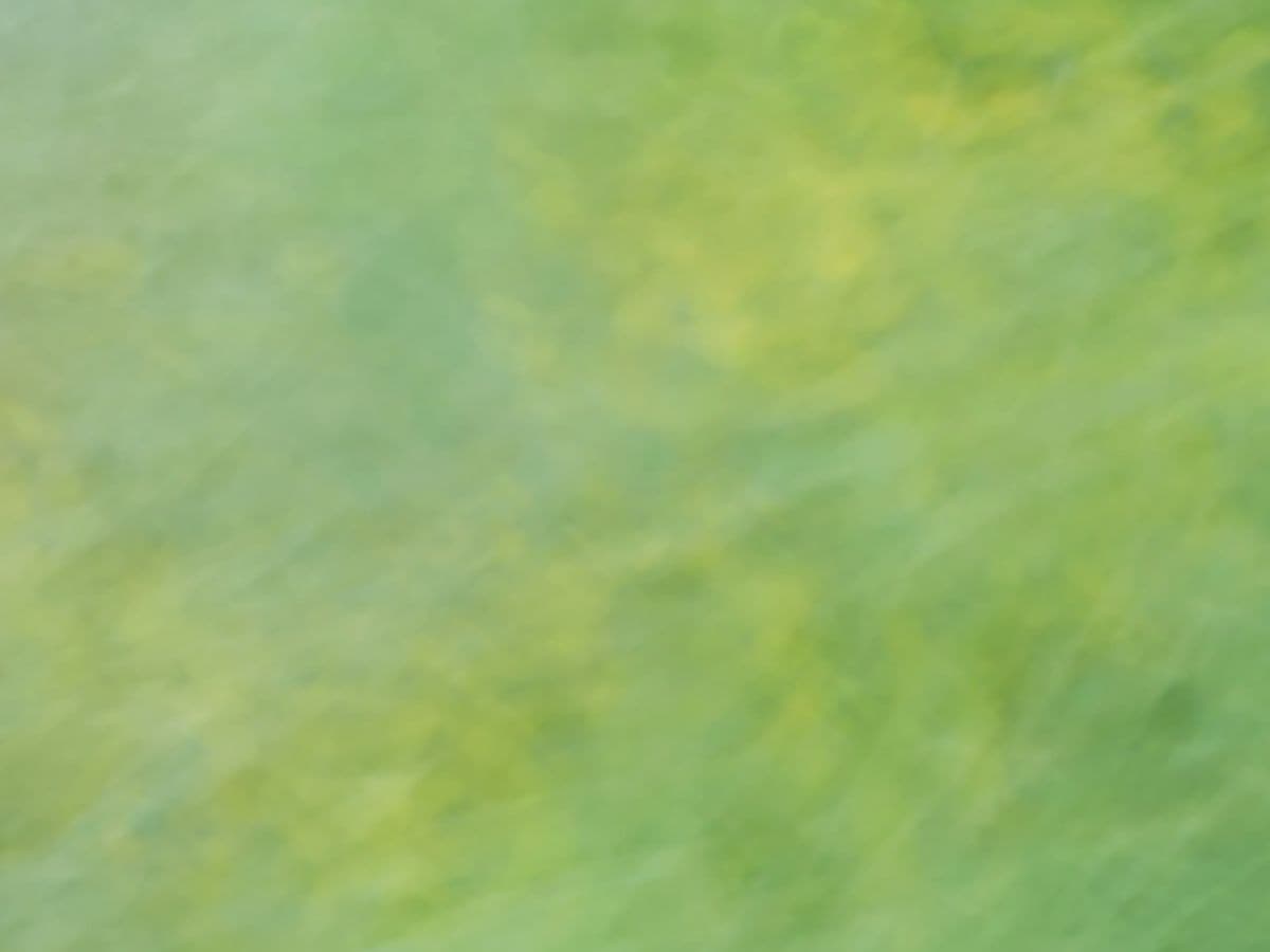 ギフトカード画像選択肢1074